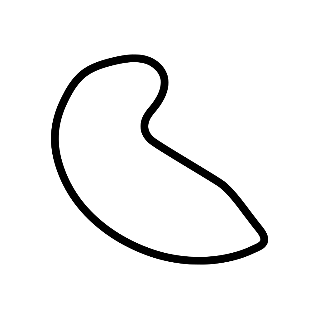 Atlanta Motorsports Park Course Variant 1 Decal