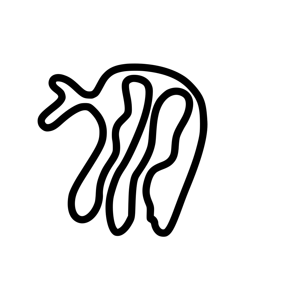 Mecaglisse Circuit Decal