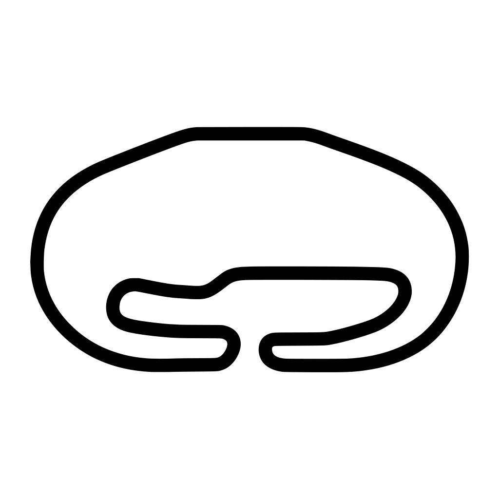 Texas Motor Speedway Roval Course Decal
