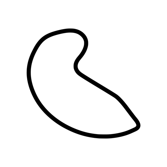 Atlanta Motorsports Park Course Variant 1 Decal