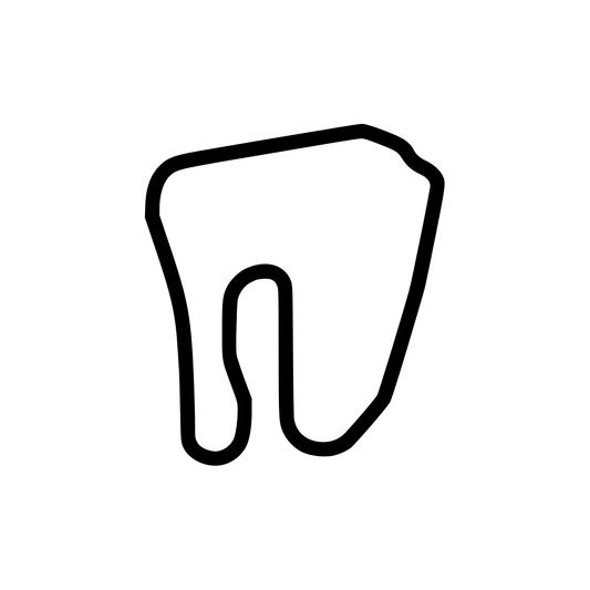 Talladega Gran Prix Raceway Decal